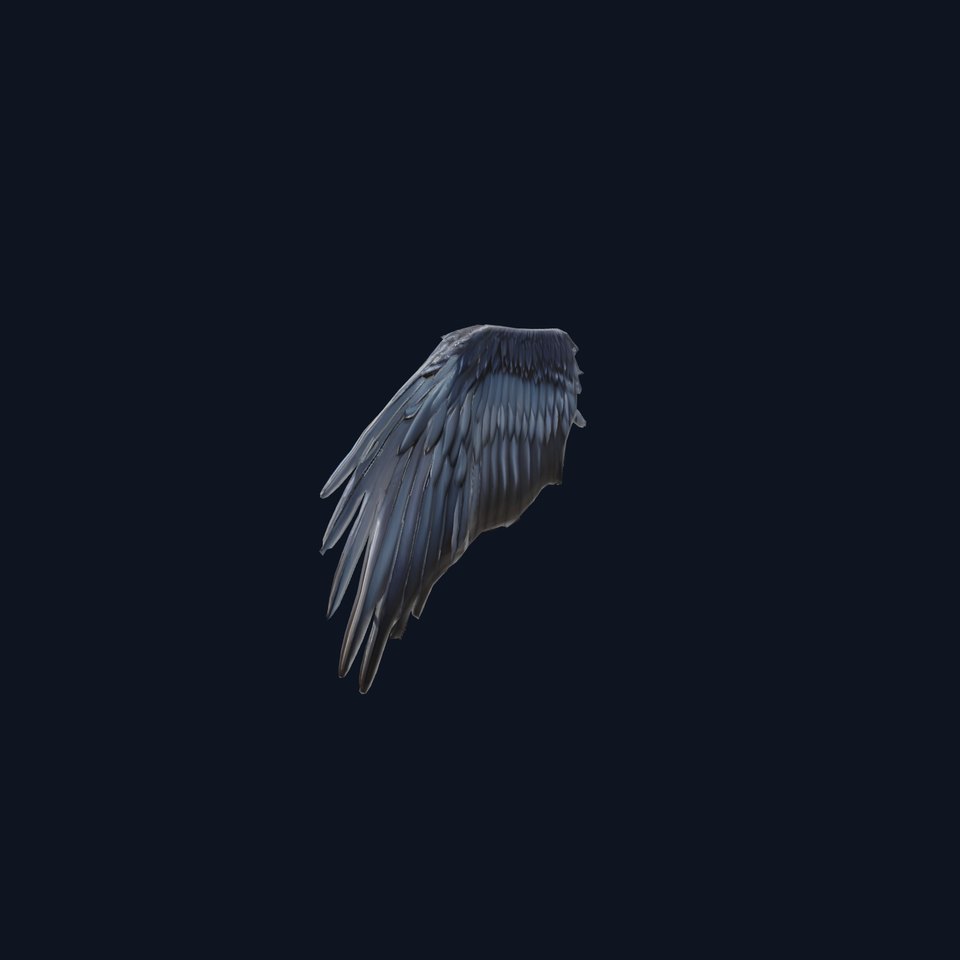 Black Feathered Wing model pack